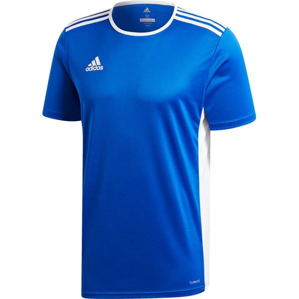 Koszulka młodzieżowa Entrada 18 Jersey Adidas