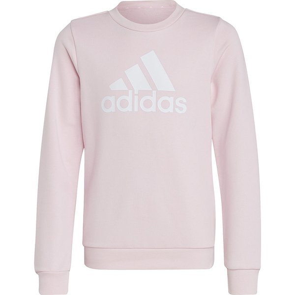 Bluza juniorska Essentials Big Logo Adidas