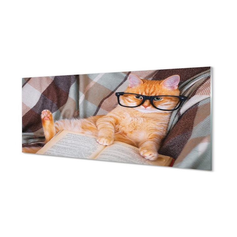 Szklany panel kuchenny + klej Czytający kot 125x50 cm