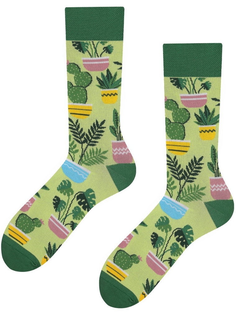Plants, Todo Socks, Rośliny doniczkowe, Monstera, Kaktus, Kwiaty domowe, Kolorowe Skarpetki