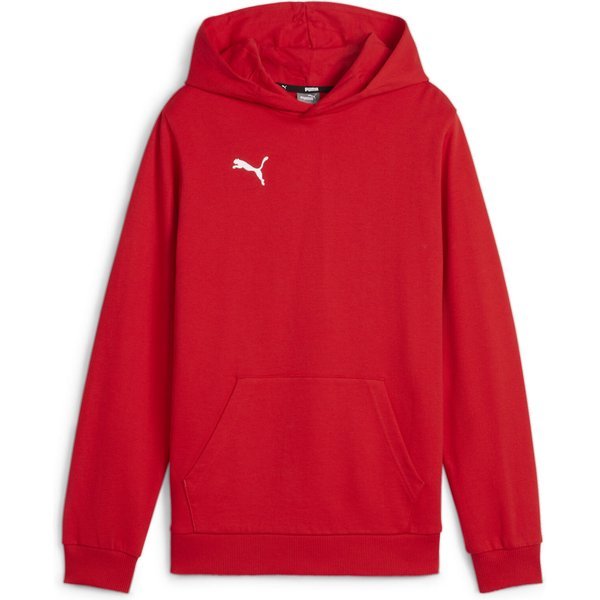 Bluza juniorska TeamGOAL Casuals Hoody Jr Puma