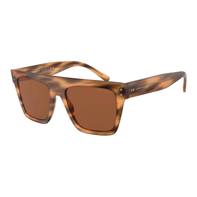 Sunglasses AR 8182 Giorgio Armani