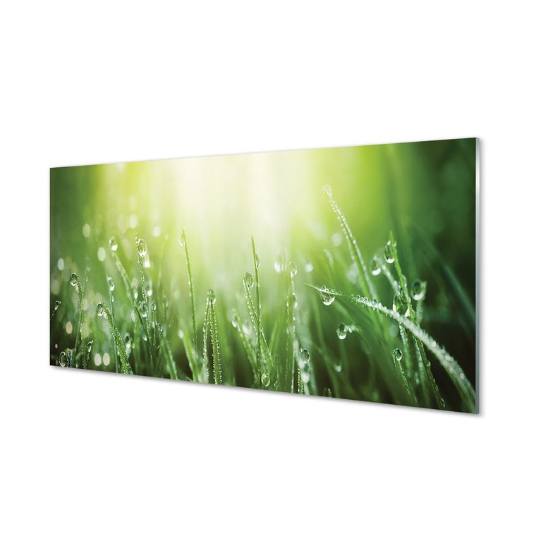 Panel szkło hartowane Krople trawa słońce 120x60