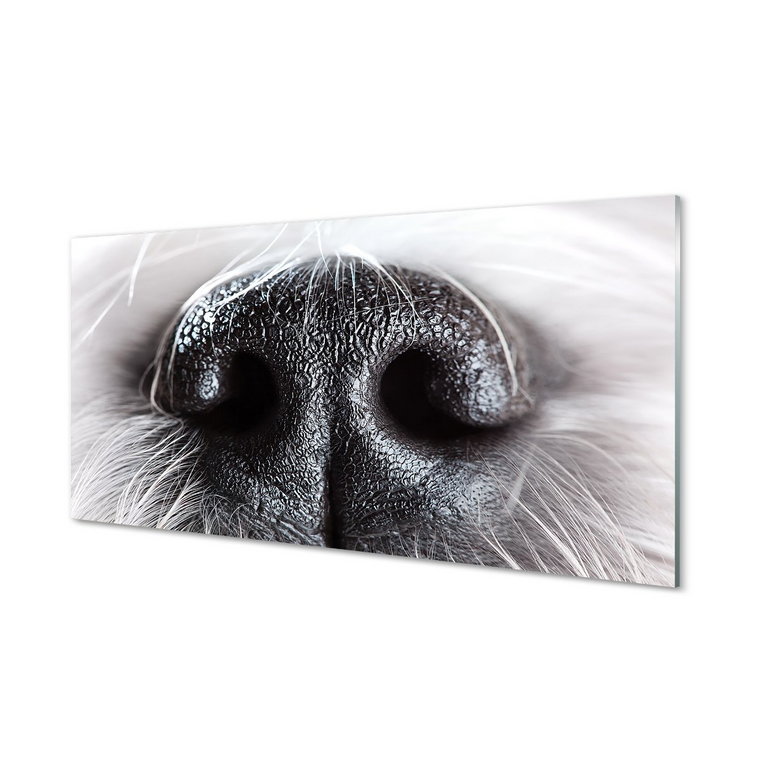 Ochronna płyta szkło między szafki Nos psa 120x60