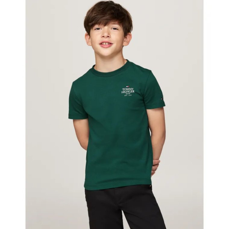 Tommy Hilfiger T-shirt | Regular Fit