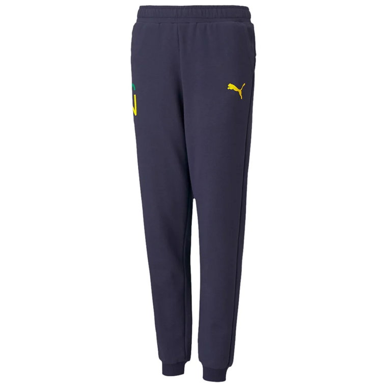 Puma Neymar Jr Hero Sweatpants 605547-06, Dla chłopca, Granatowe, spodnie, bawełna, rozmiar: 152