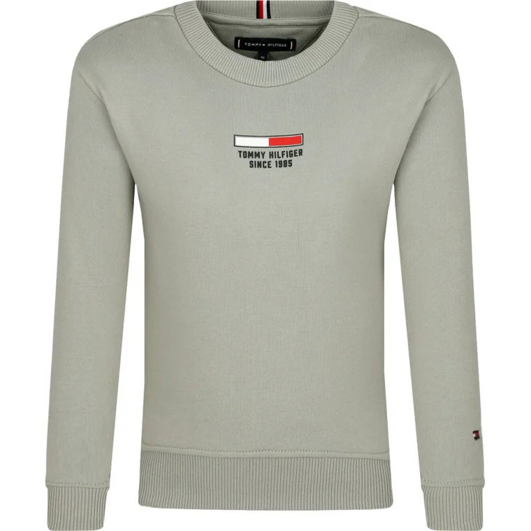 Tommy Hilfiger Bluza | Regular Fit