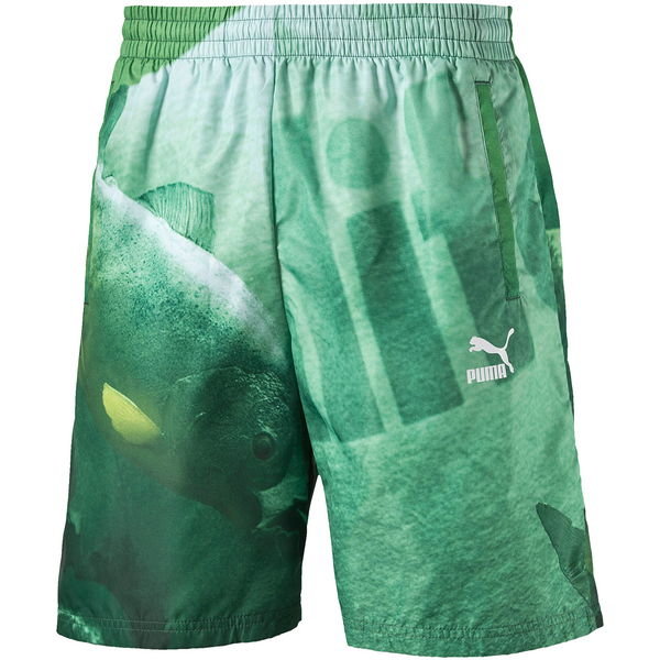 Spodenki męskie Alife Fish Tank Print Shorts Puma