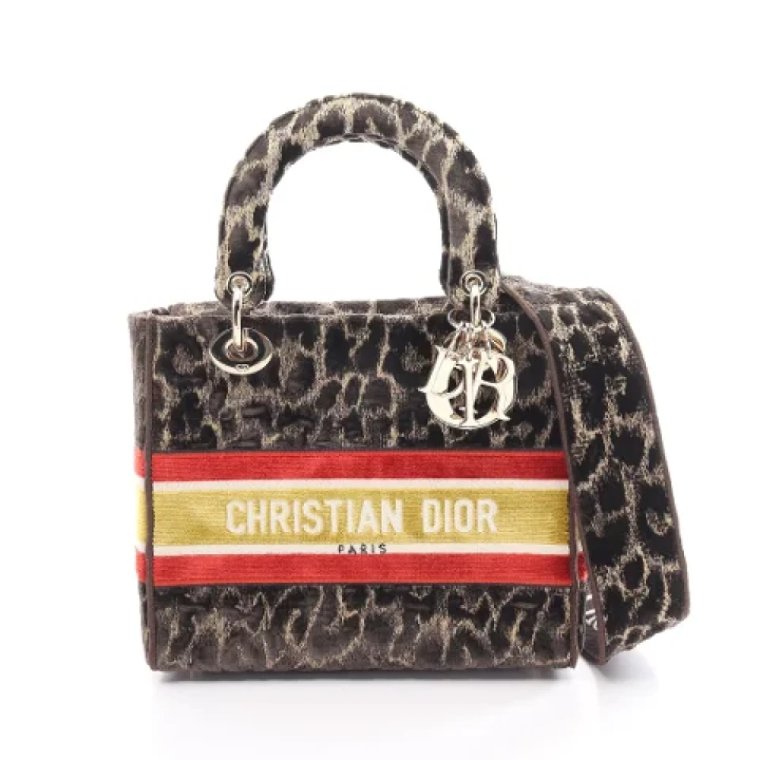 Pre-owned Canvas dior-bags Dior Vintage