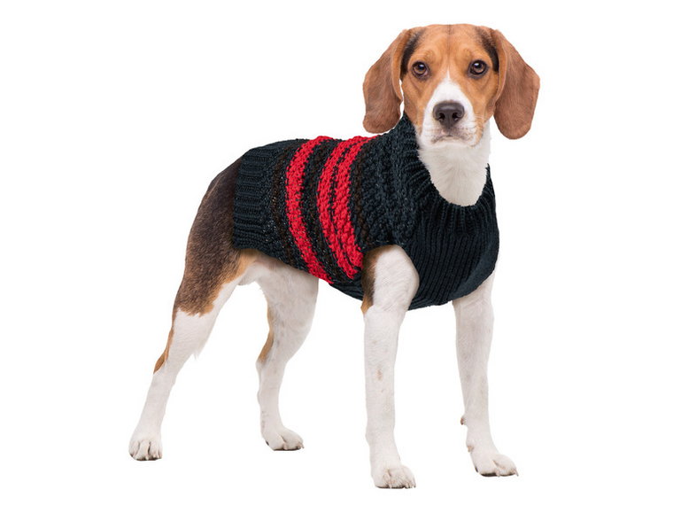 zoofari Sweter dla psa, z dzianiny (35, Paski)