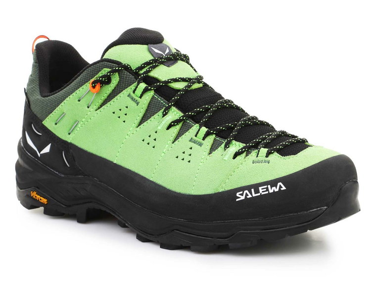 Salewa Alp Trainer 2 Gore-Tex Men's Shoe 61400-5660