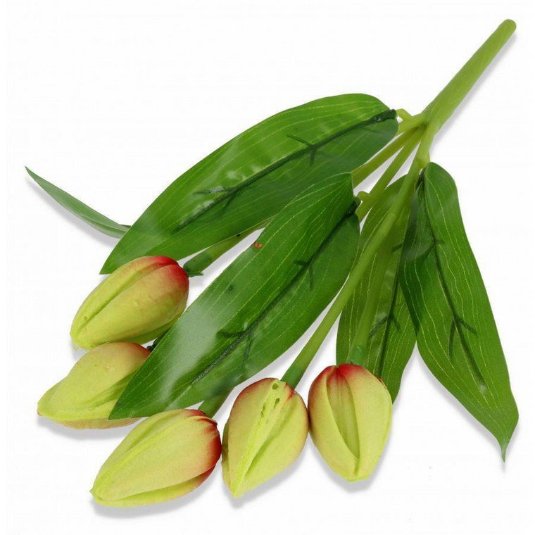 Kwiaty dekoracyjne Bukiet Tulipan gumowy zielony zielony