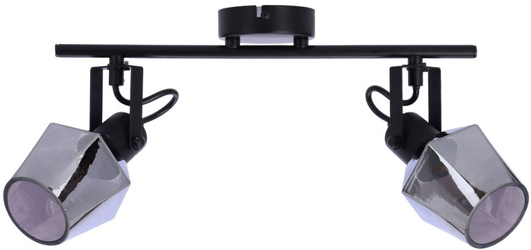 Lampa sufitowa dwupunktowa na listwie w stylu loft - Z053-Muso