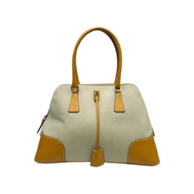 Pre-owned Canvas prada-bags Prada Vintage