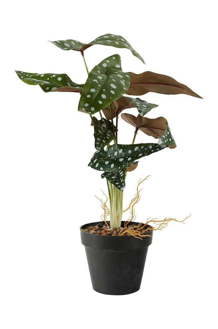 Bahne sztuczna roślina w doniczce Dotted Begonia