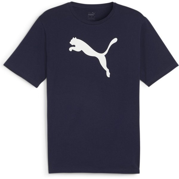Koszulka męska teamRISE Logo Jersey Cotton Puma