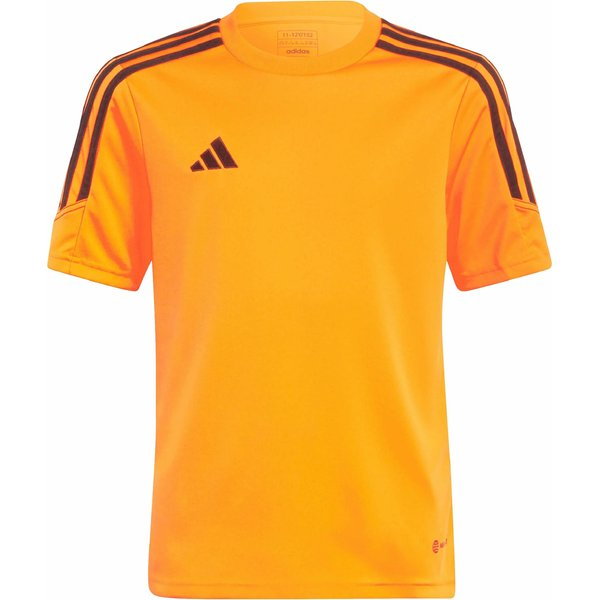 Koszulka juniorska Tiro 23 Club Training Jersey Adidas