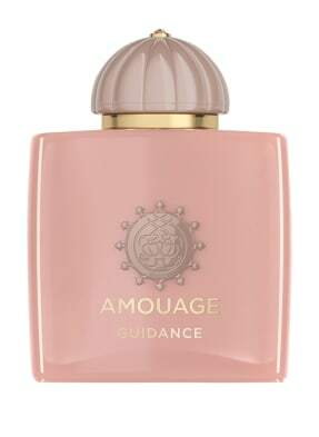 Amouage Guidance