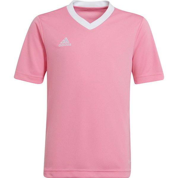 Koszulka juniorska Entrada 22 Jersey Adidas