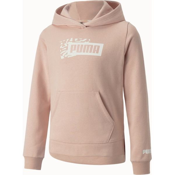 Bluza juniorska Alpha Hoodie FL Puma