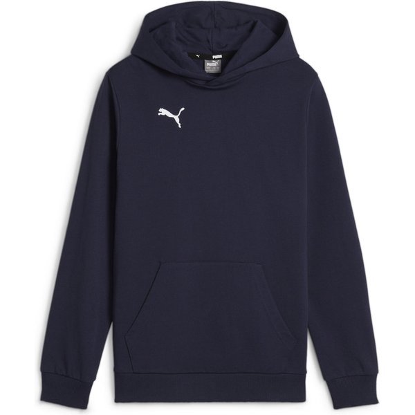 Bluza juniorska TeamGOAL Casuals Hoody Jr Puma