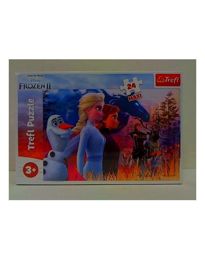 TANIA DOSTAWA ! - ! trefl PUZZLE MAXI 24 Magiczna wyprawa/Disn Frozen2 ...