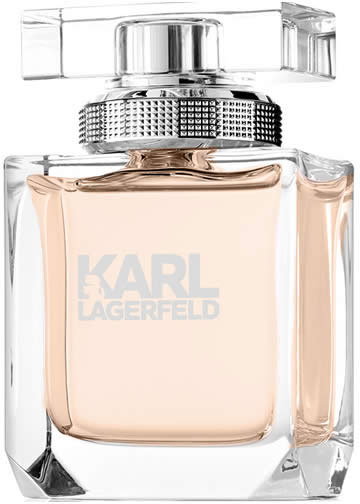 Woda perfumowana damska Karl Lagerfeld Eau De Perfume Spray 45 ml (3386460059121). Perfumy damskie
