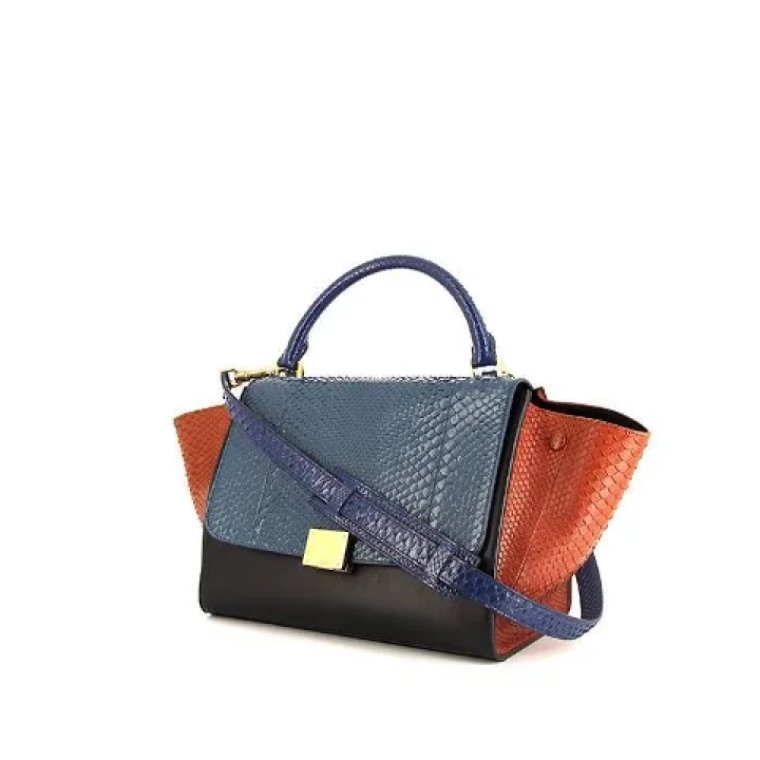 Pre-owned Leather celine-bags Celine Vintage