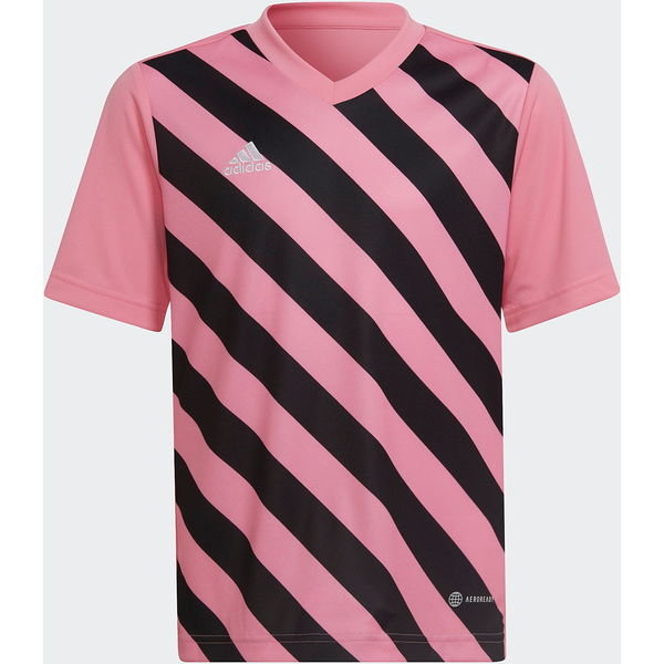 Koszulka juniorska Entrada 22 Graphic Jersey Adidas