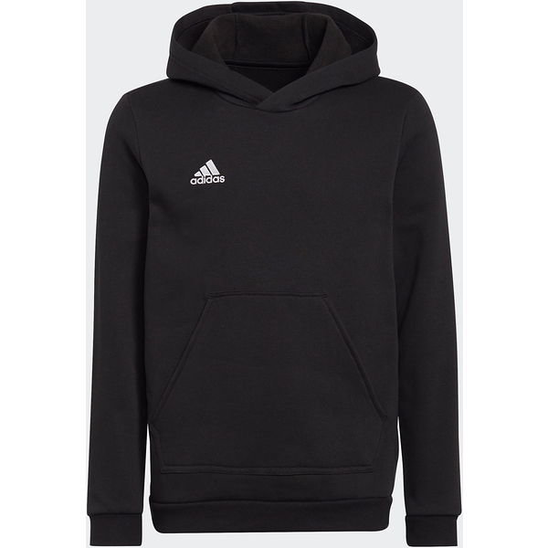 Bluza juniorska Entrada 22 Hoody Adidas