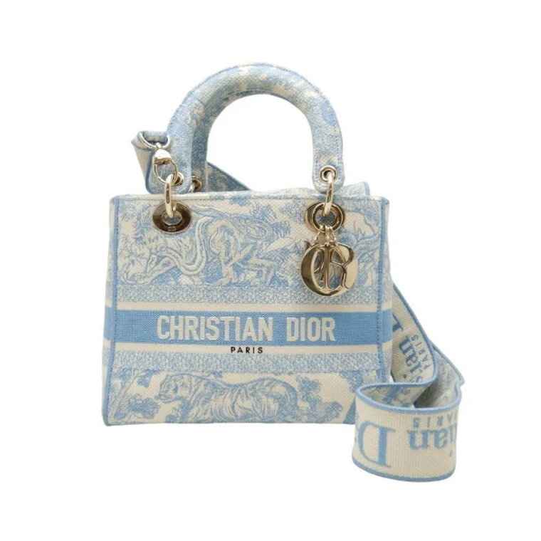 Pre-owned Canvas handbags Dior Vintage