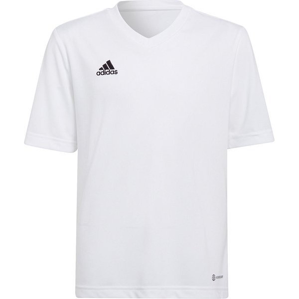 Koszulka juniorska Entrada 22 Jersey Adidas