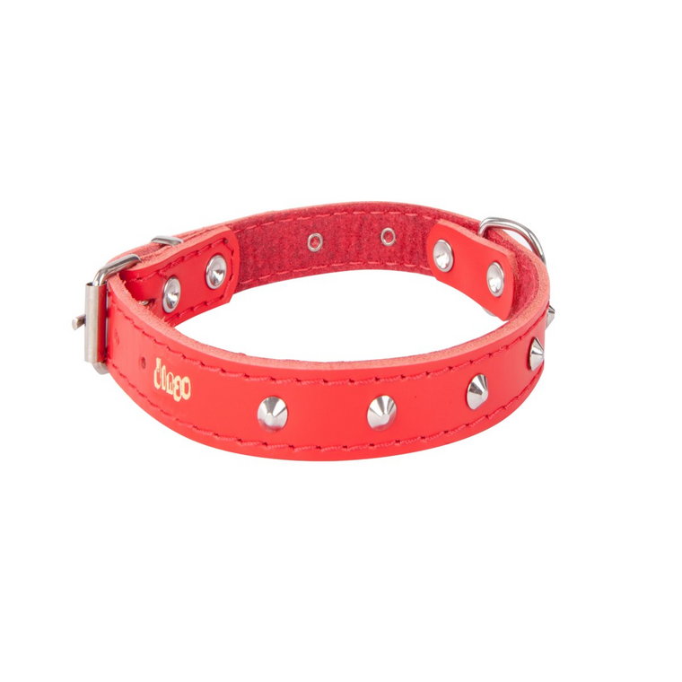 Dingo Obroża skórzana z ćwiekami dla psa CLASSIC czerwona 1,0 x 33 cm