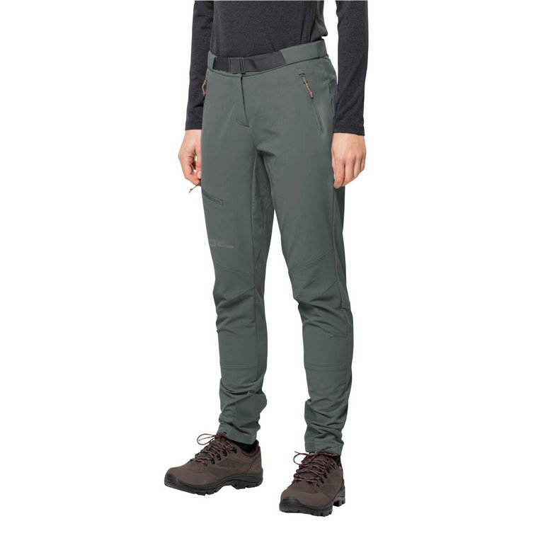 Damskie spodnie softshellowe Jack Wolfskin ZIEGSPITZ PANTS W slate green - 34