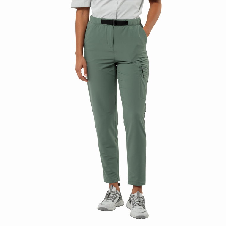 Damskie spodnie turystyczne Jack Wolfskin WANDERMOOD PANTS W hedge green - 34