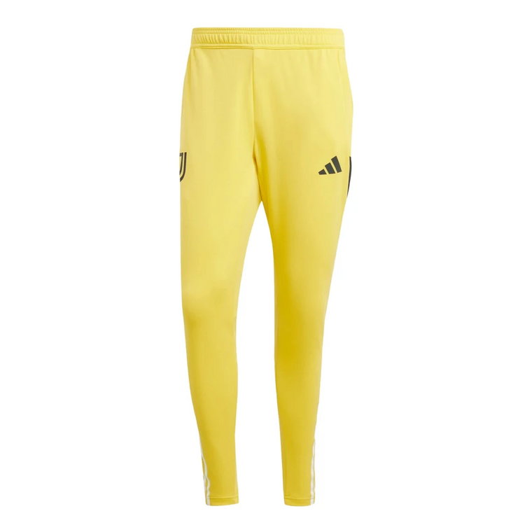 Training Shorts Adidas