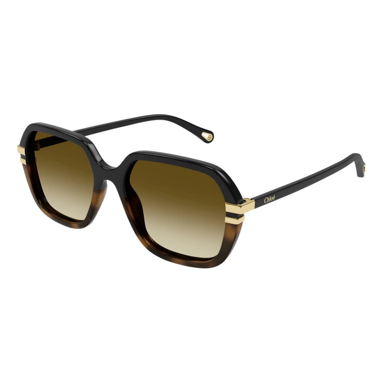 Sunglasses Ch0204S Chloé