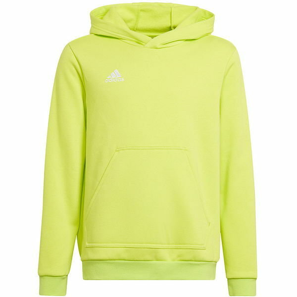 Bluza juniorska Entrada 22 Hoody Adidas