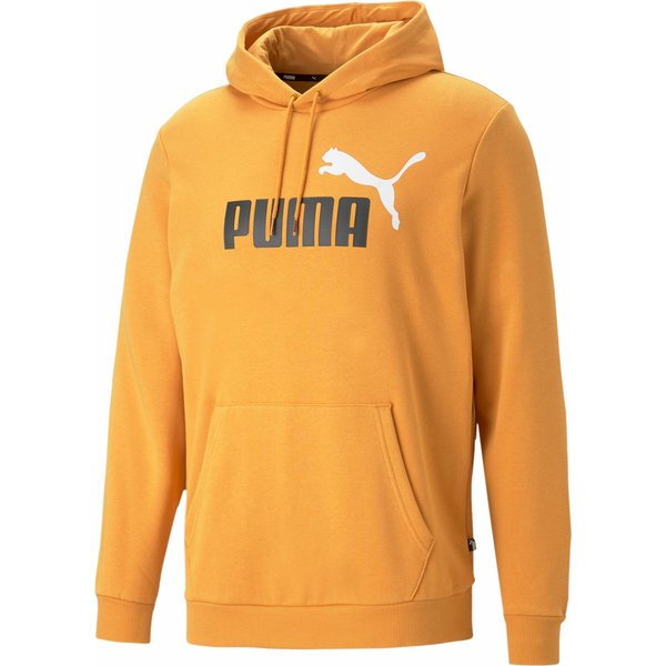 Bluza męska Essentials+ Two-Tone Big Logo Hoodie Puma