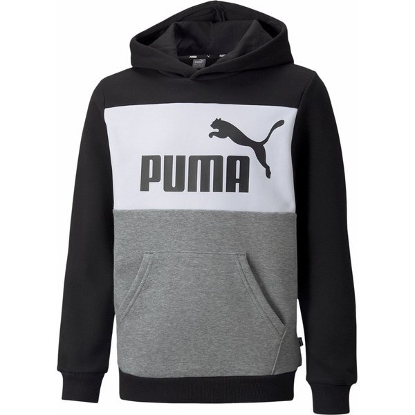 Bluza juniorska Essentials Block Hoodie Puma