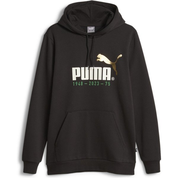 Bluza męska No. 1 Logo Celebration Puma