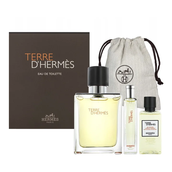 Hermes Terre d'Hermes zestaw - woda toaletowa 100 ml + woda