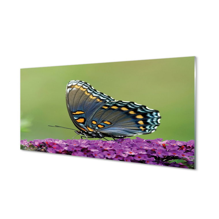 Panel ścienny Kolorowy motyl na kwiatach 120x60 cm