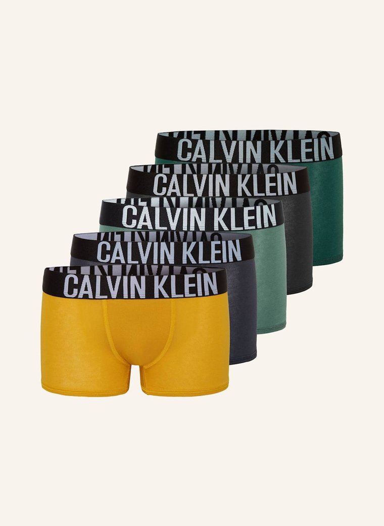 Calvin Klein Bokserki, 5 Szt. grau