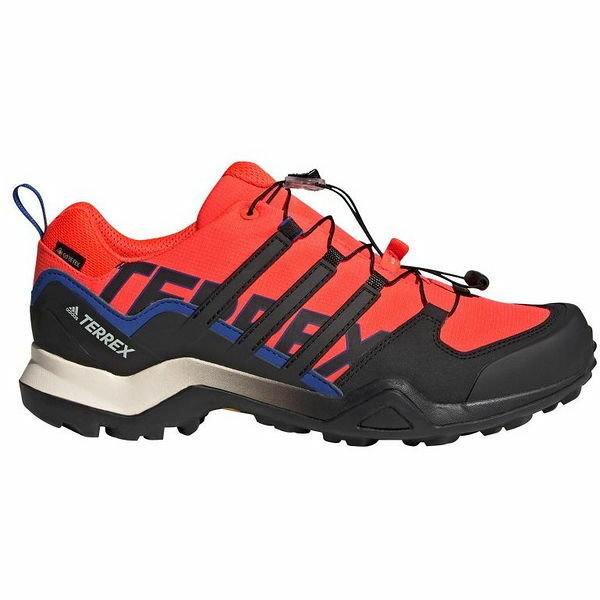 Buty Terrex Swift R2 GTX Adidas