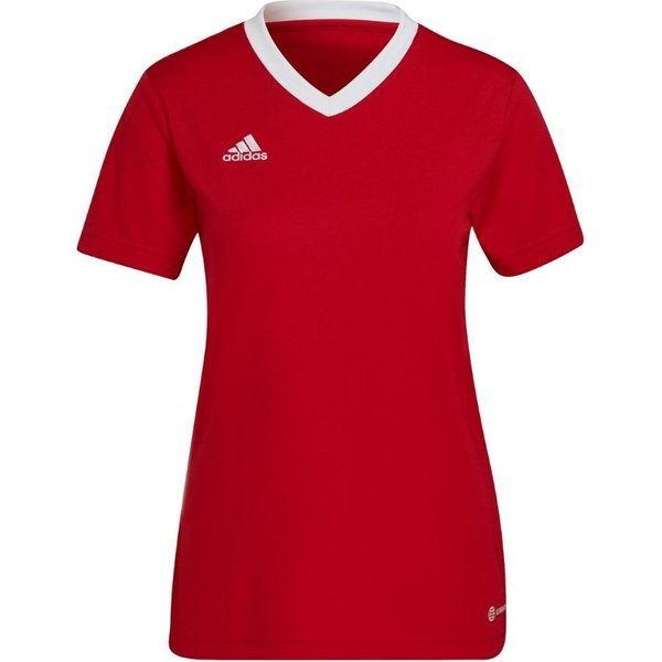 Koszulka damska Entrada 22 Jersey Adidas