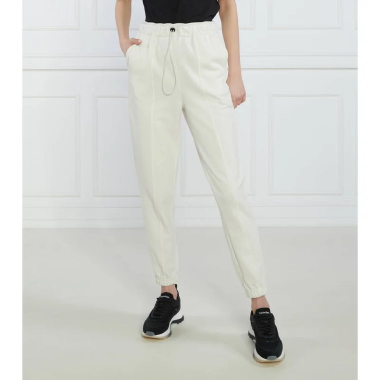 Calvin Klein Performance Spodnie dresowe | Regular Fit