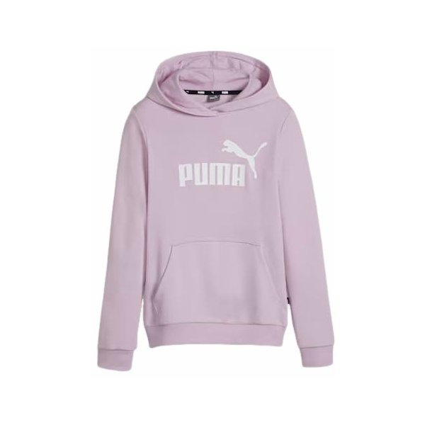 Bluza juniorska Essentials Logo Youth Hoodie Puma