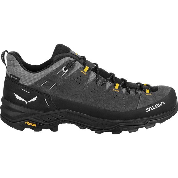 Buty Alp Trainer 2 GTX Salewa