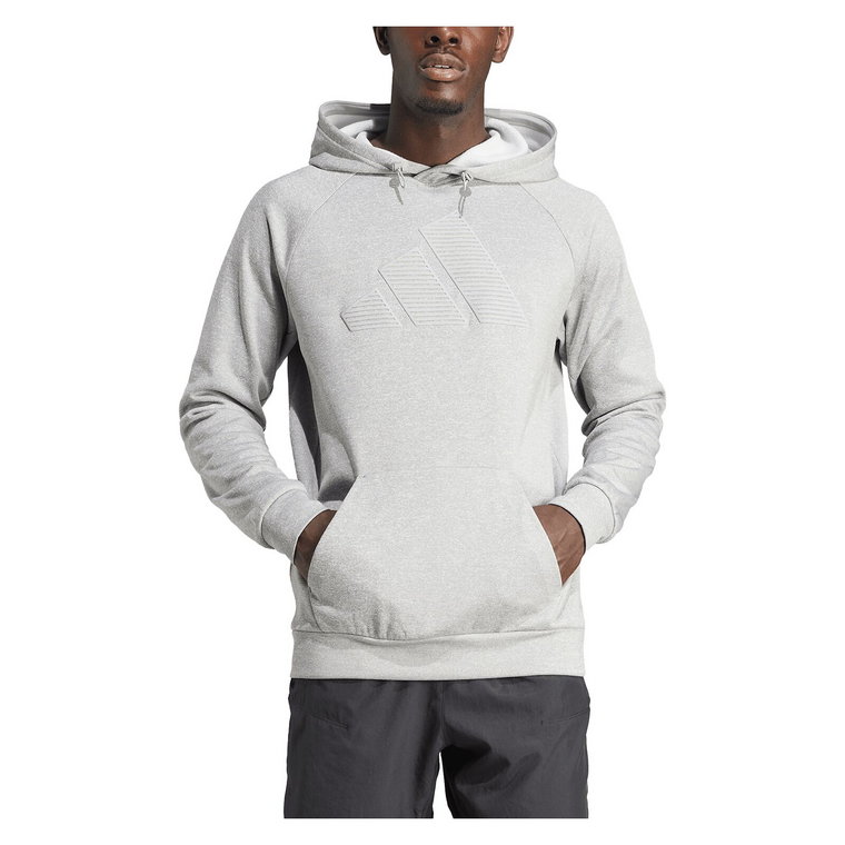 Bluza treningowa męska adidas Big Logo Training Hoody IM1775